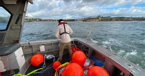 Shark Mitigation Technologies Deployed in NSW Beaches Including Maroubra Beach
