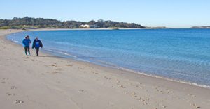 Locals Vow to Fight Possible Revival of Proposed Yarra Bay Cruise Terminal