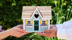 First Home Buyer Choice