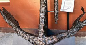 Resurfacing History: Lapérouse’s Anchor Takes Centre Stage at the La Perouse Museum