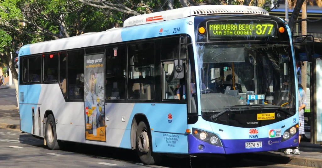 Maroubra Bus